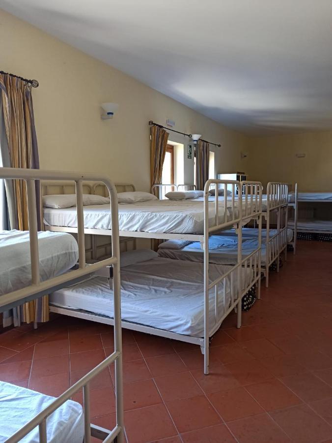 Albergue De Sos del Rey Católico Zewnętrze zdjęcie